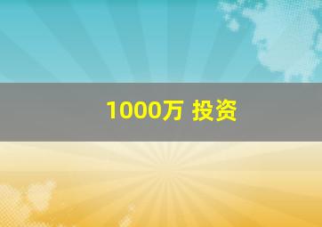 1000万 投资